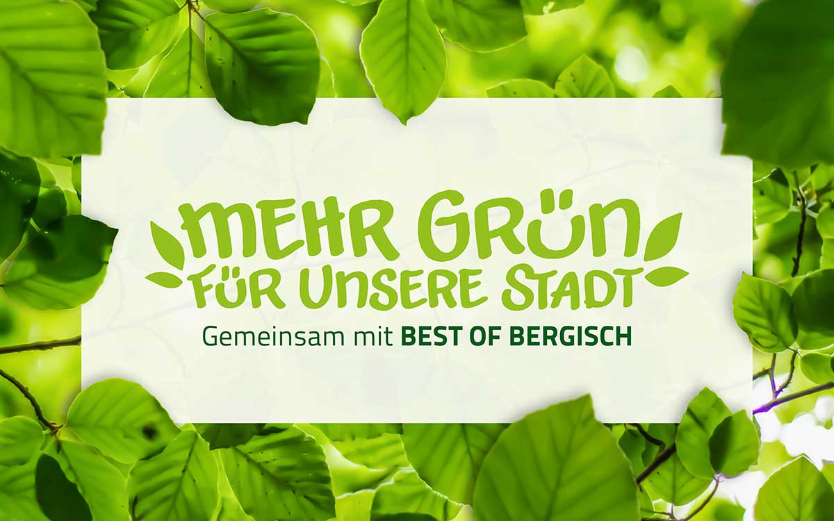 Mehr Grün für unsere Stadt | Bäume Bergisch Gladbach